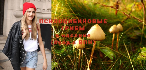 амф Верея