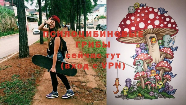 таблы Верхний Тагил